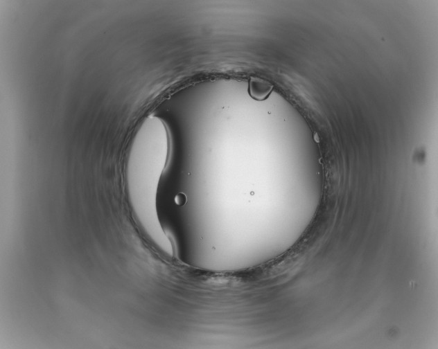 X0000090460415200707272241