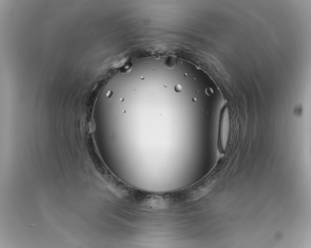 X0000090460416200707272241