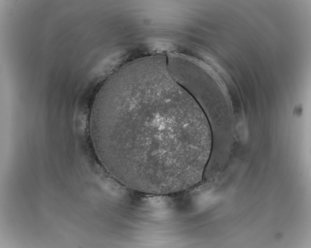 X0000090460417200707272241