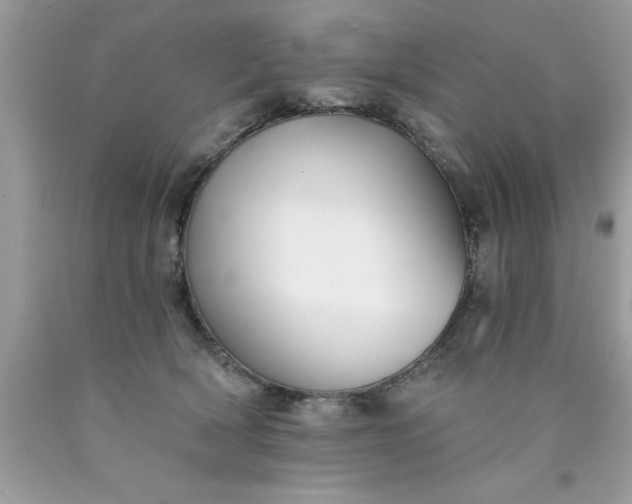 X0000090460418200707272241