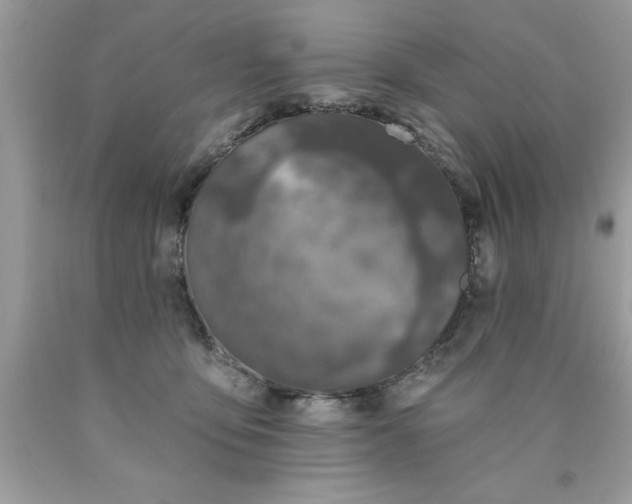 X0000090460419200707272241
