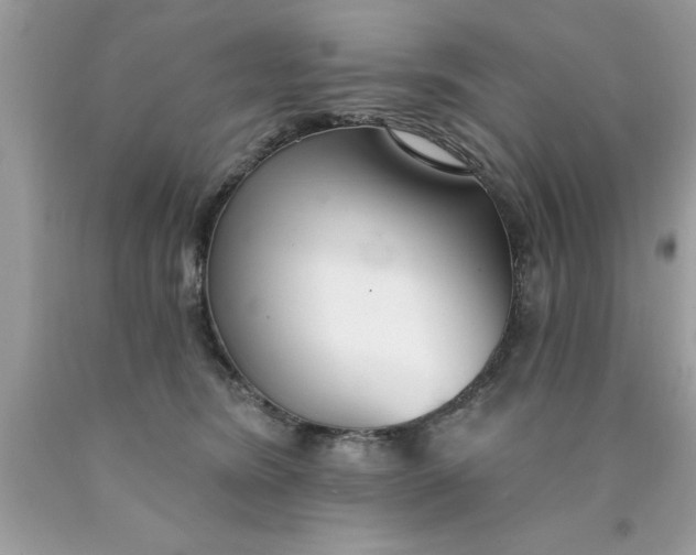 X0000090460420200707272241
