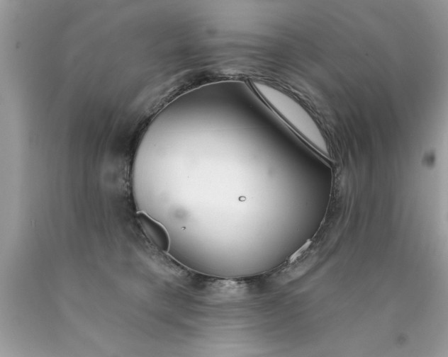 X0000090460421200707272241