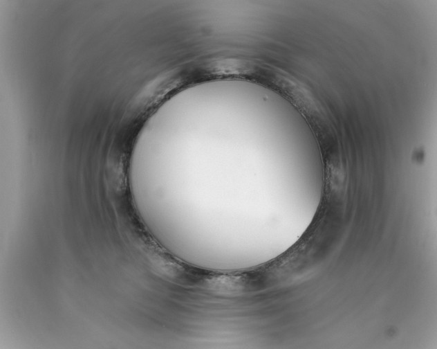 X0000090460422200707272241