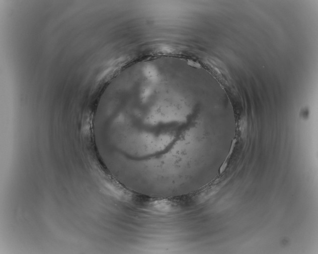 X0000090460423200707272241