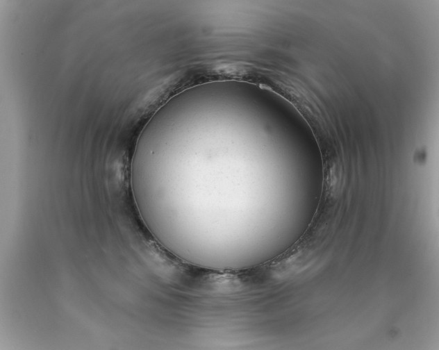 X0000090460424200707272241