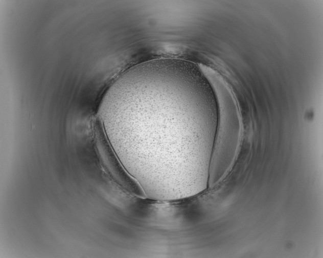 X0000090460425200707272241