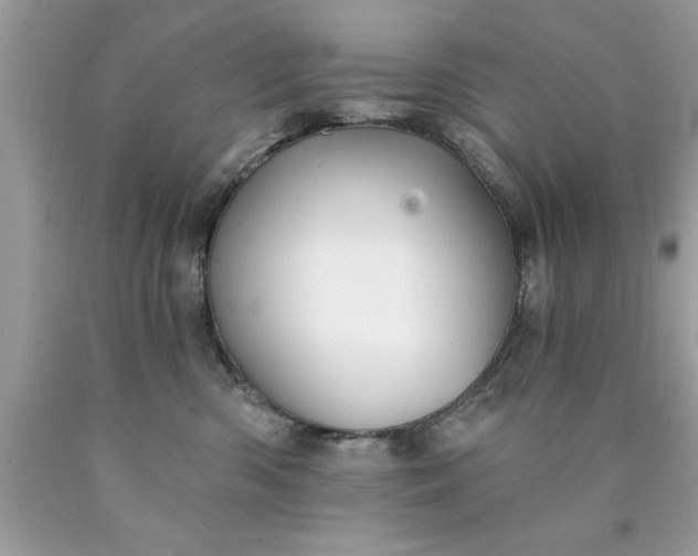 X0000090460426200707272241
