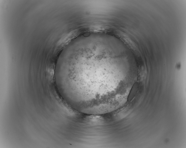X0000090460427200707272241