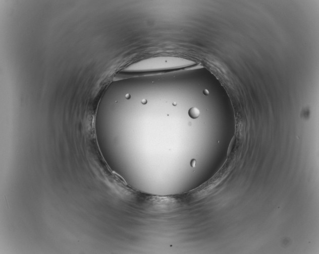 X0000090460429200707272241