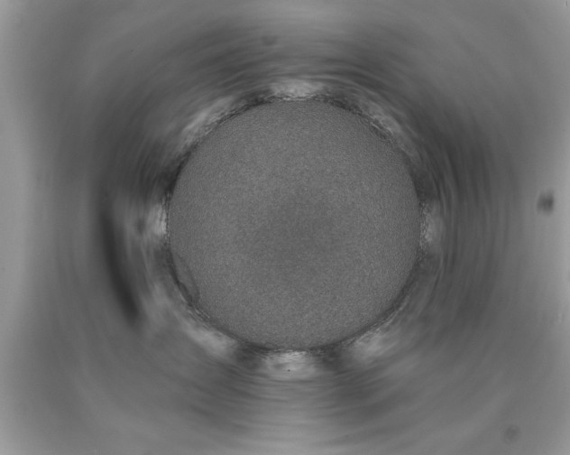 X0000090460431200707272241