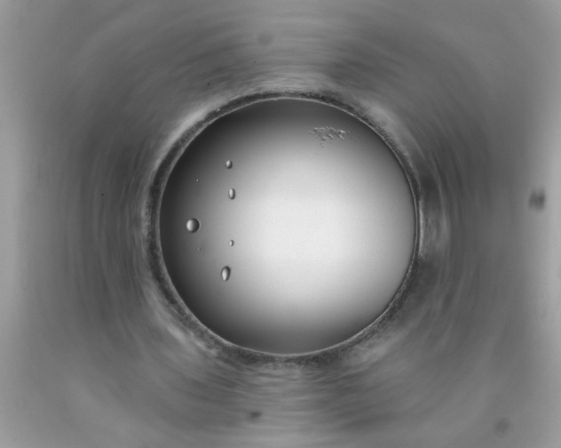 X0000090460435200707272240