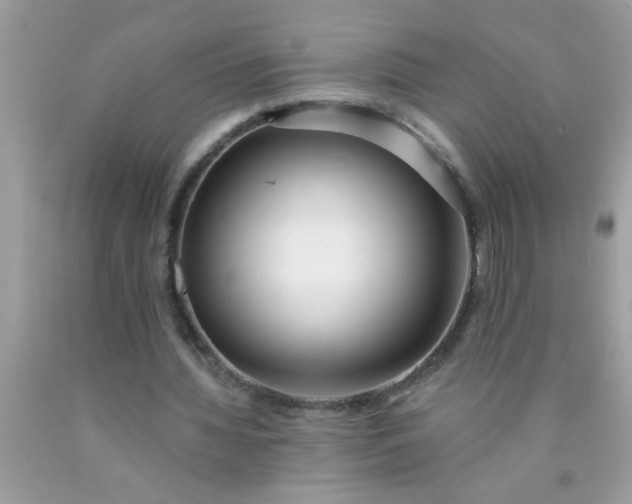 X0000090460436200707272240