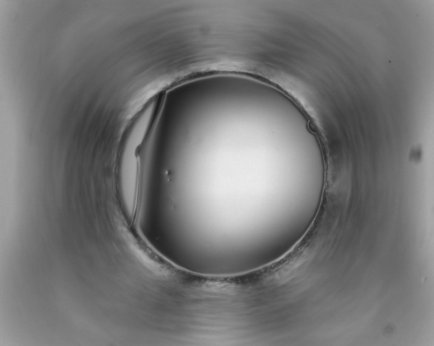 X0000090460437200707272240
