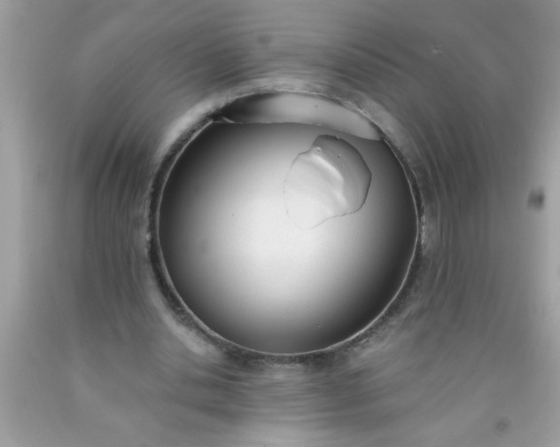 X0000090460438200707272240