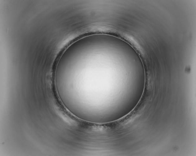 X0000090460439200707272240