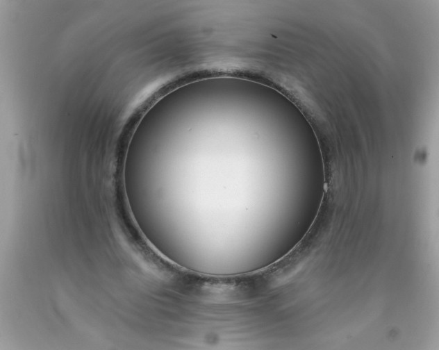 X0000090460440200707272240