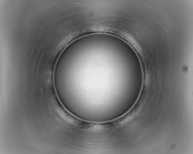 X0000090460441200707272240