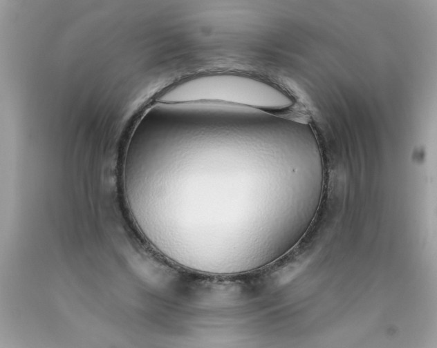X0000090460443200707272240