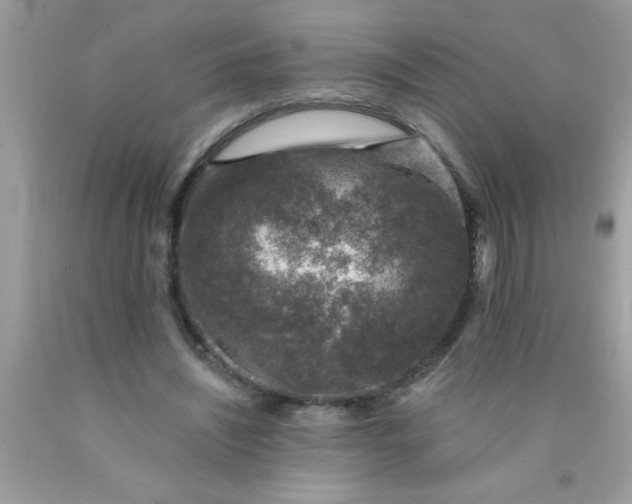 X0000090460444200707272240