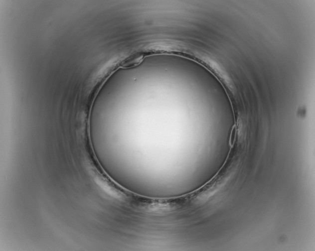 X0000090460445200707272240