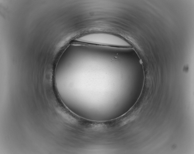 X0000090460446200707272240