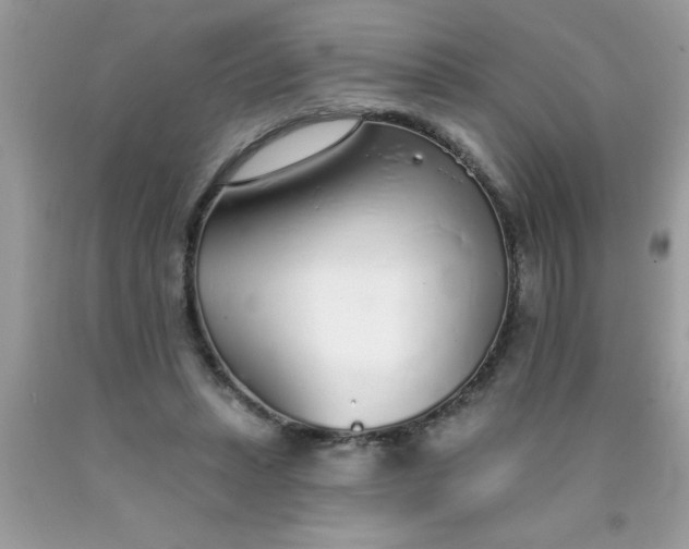 X0000090460447200707272240