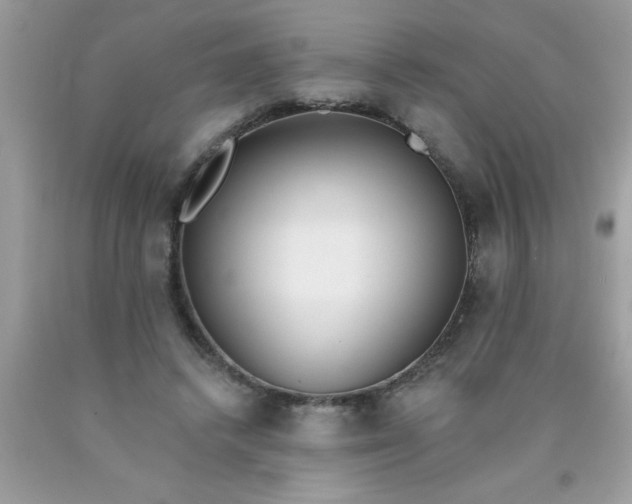 X0000090460448200707272240