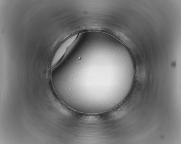 X0000090460449200707272240
