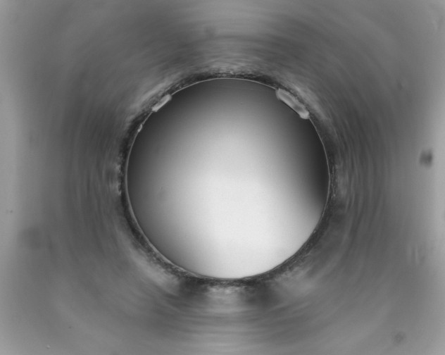 X0000090460450200707272240