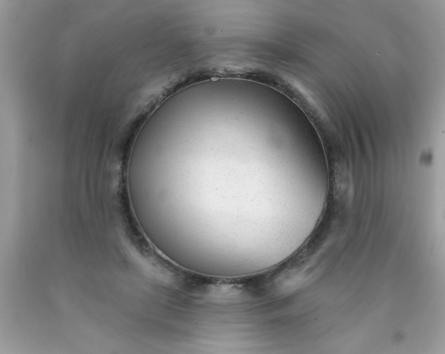 X0000090460451200707272240