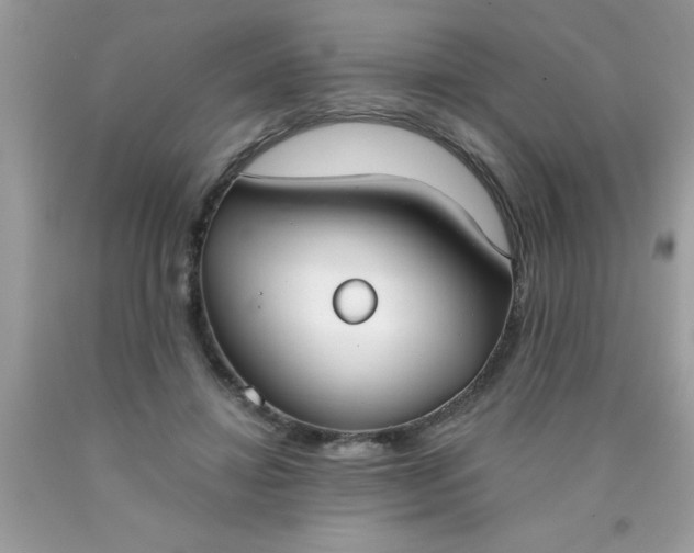 X0000090460452200707272240