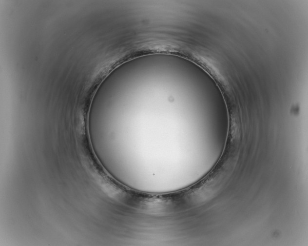 X0000090460453200707272240