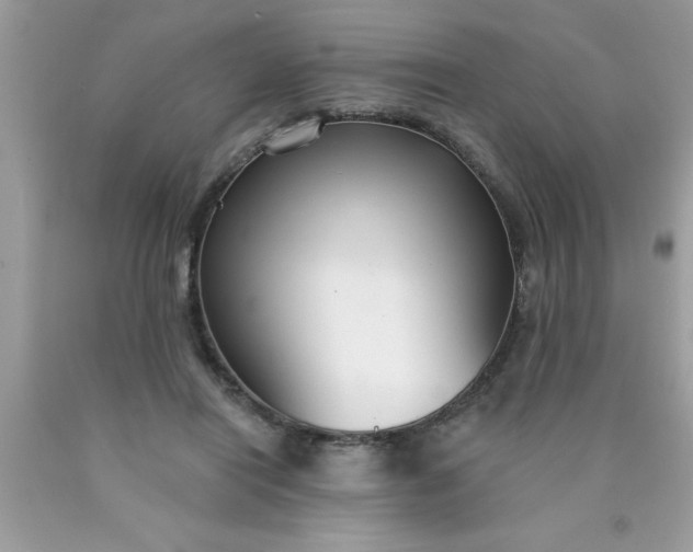 X0000090460454200707272240