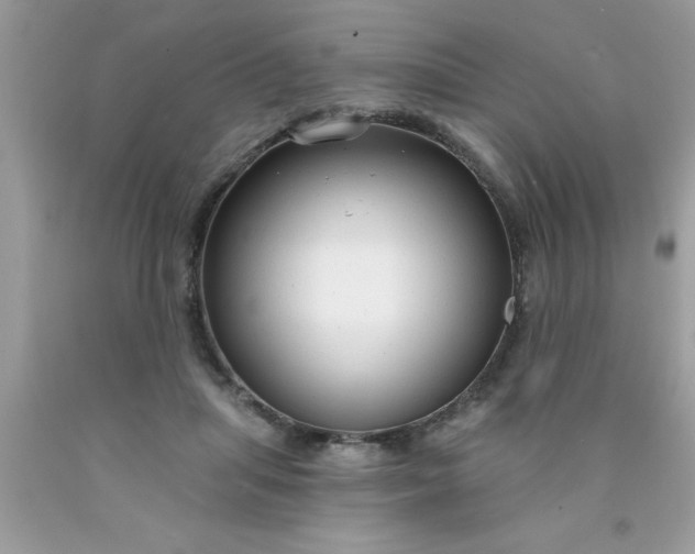 X0000090460455200707272240