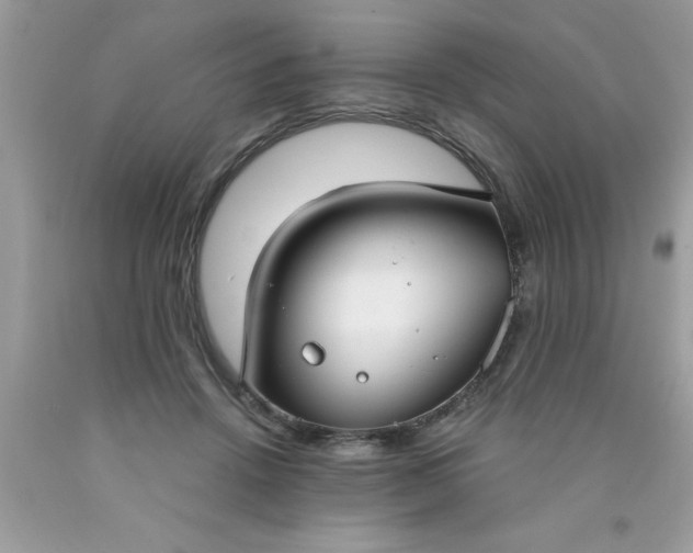 X0000090460456200707272240