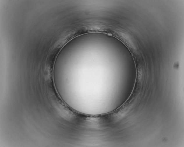 X0000090460457200707272240