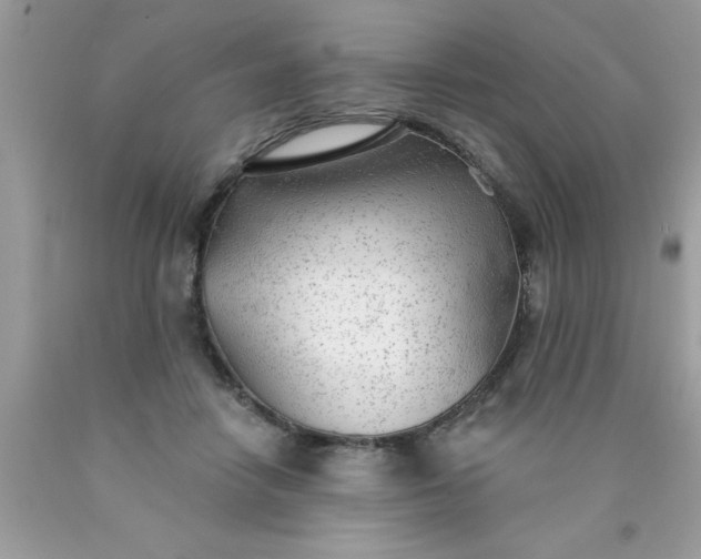 X0000090460458200707272240