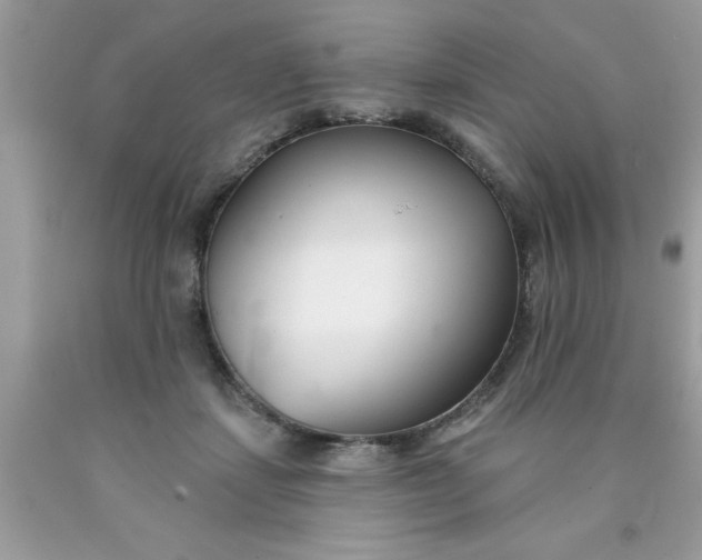 X0000090460459200707272240