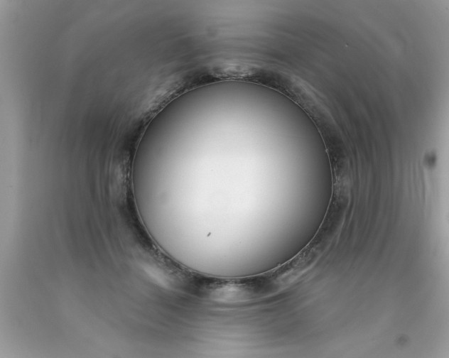 X0000090460460200707272241