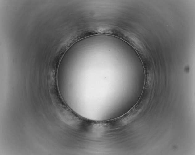 X0000090460461200707272241