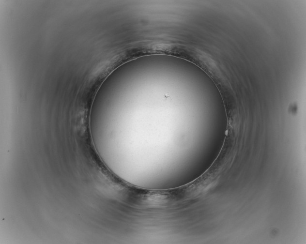X0000090460462200707272241