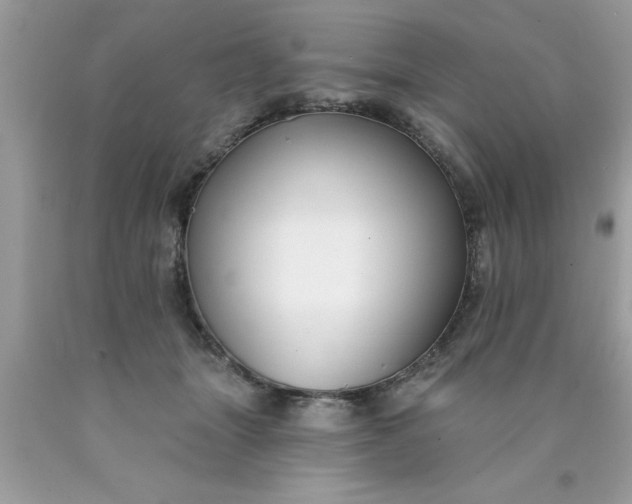 X0000090460463200707272241