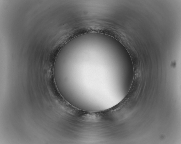 X0000090460464200707272241