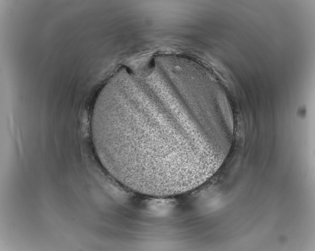 X0000090460465200707272241
