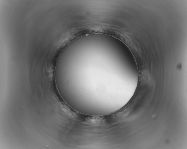 X0000090460466200707272241
