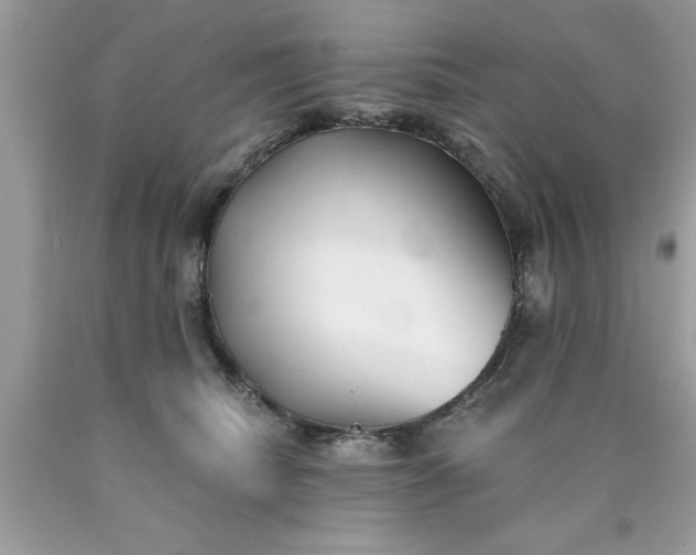 X0000090460468200707272241