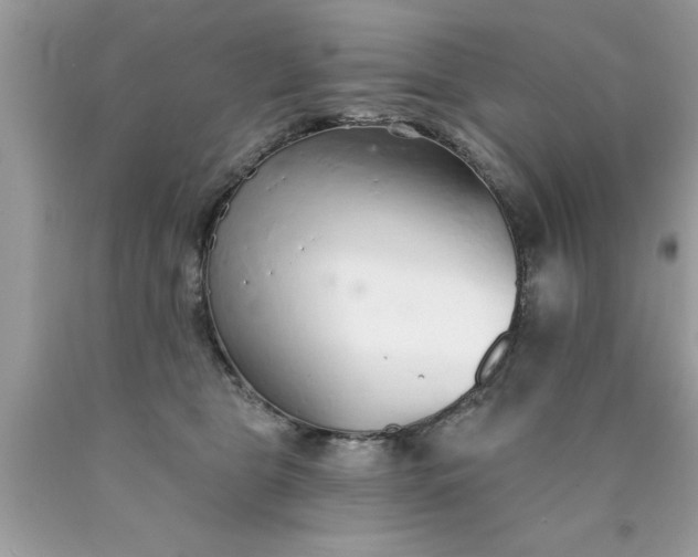 X0000090460469200707272241