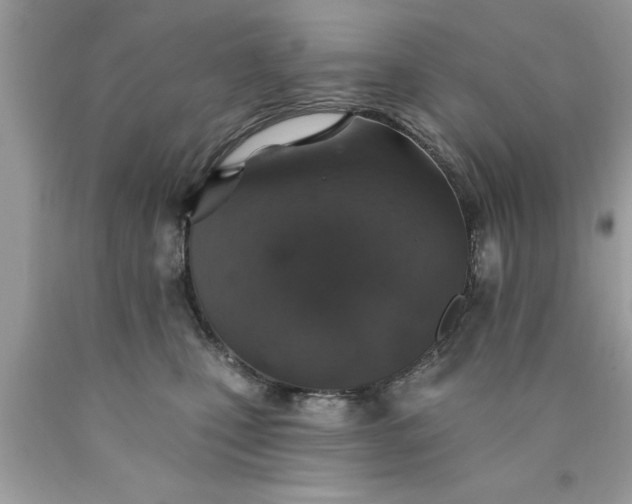 X0000090460471200707272241