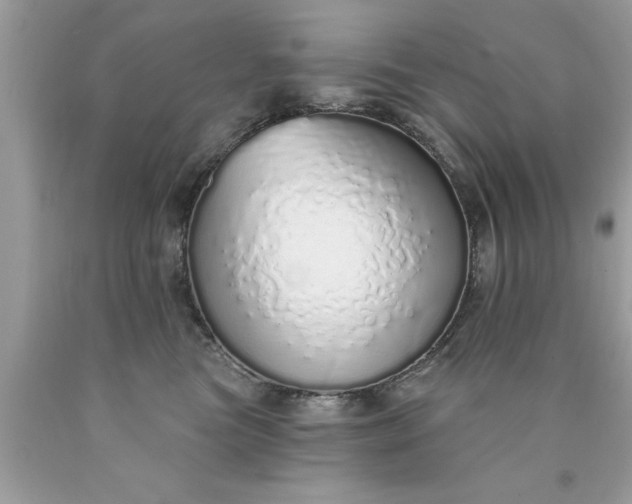 X0000090460473200707272241